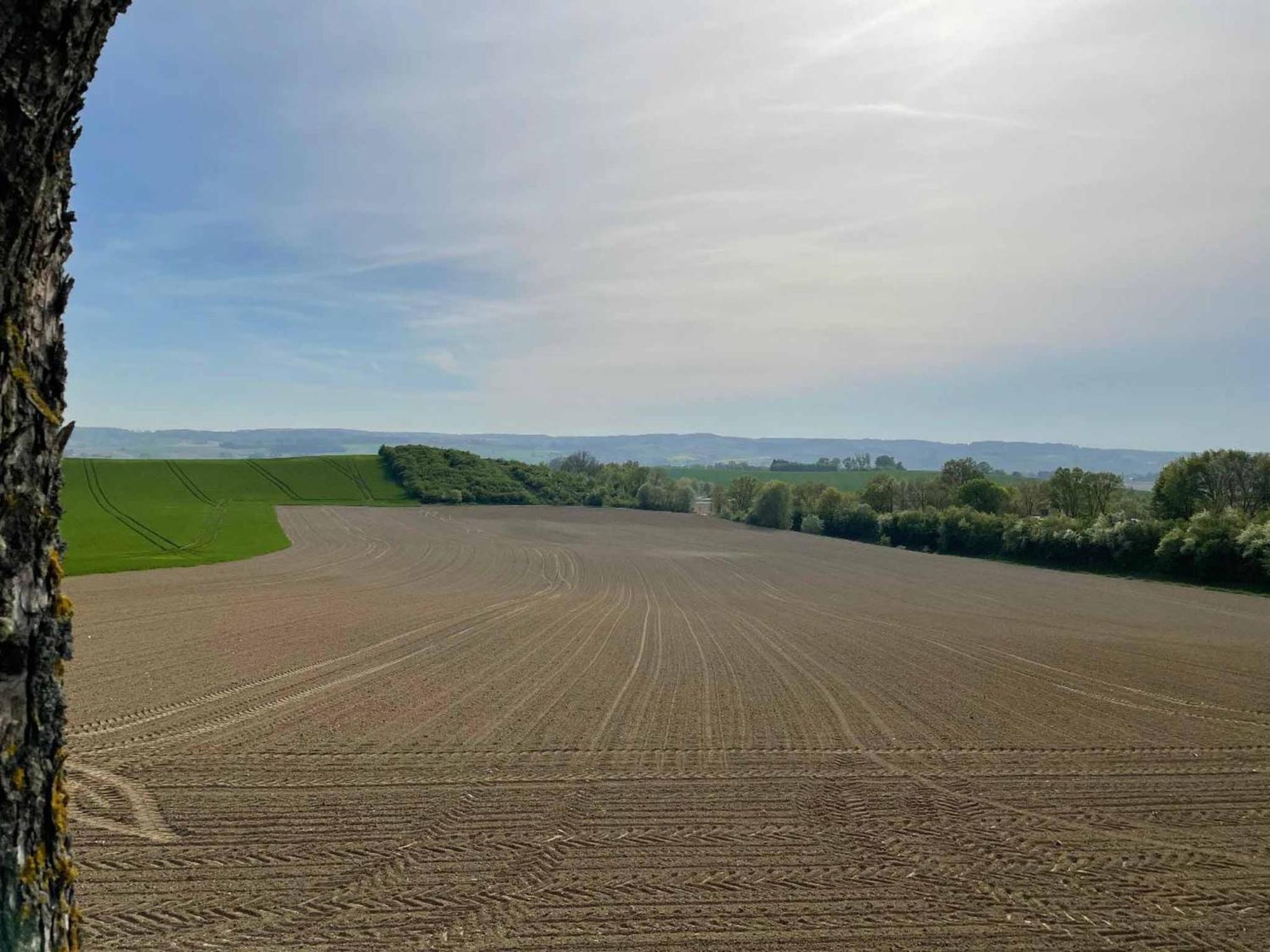 Appartement Am Brunnenplatzl Mit Bademantelzugang Bad Griesbach im Rottal Exterior foto